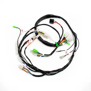 Boxer Ct 2020 Luz Directa