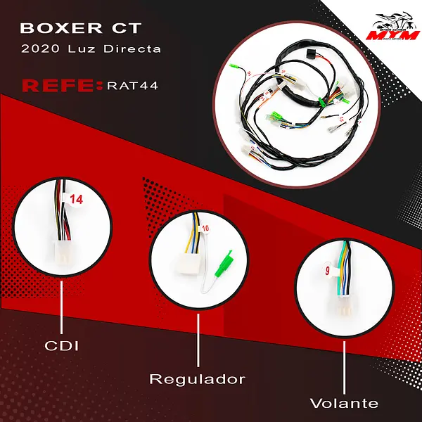 Boxer Ct 2020 Luz Directa