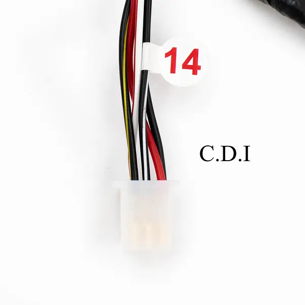 Boxer Ct 2020 Luz Directa